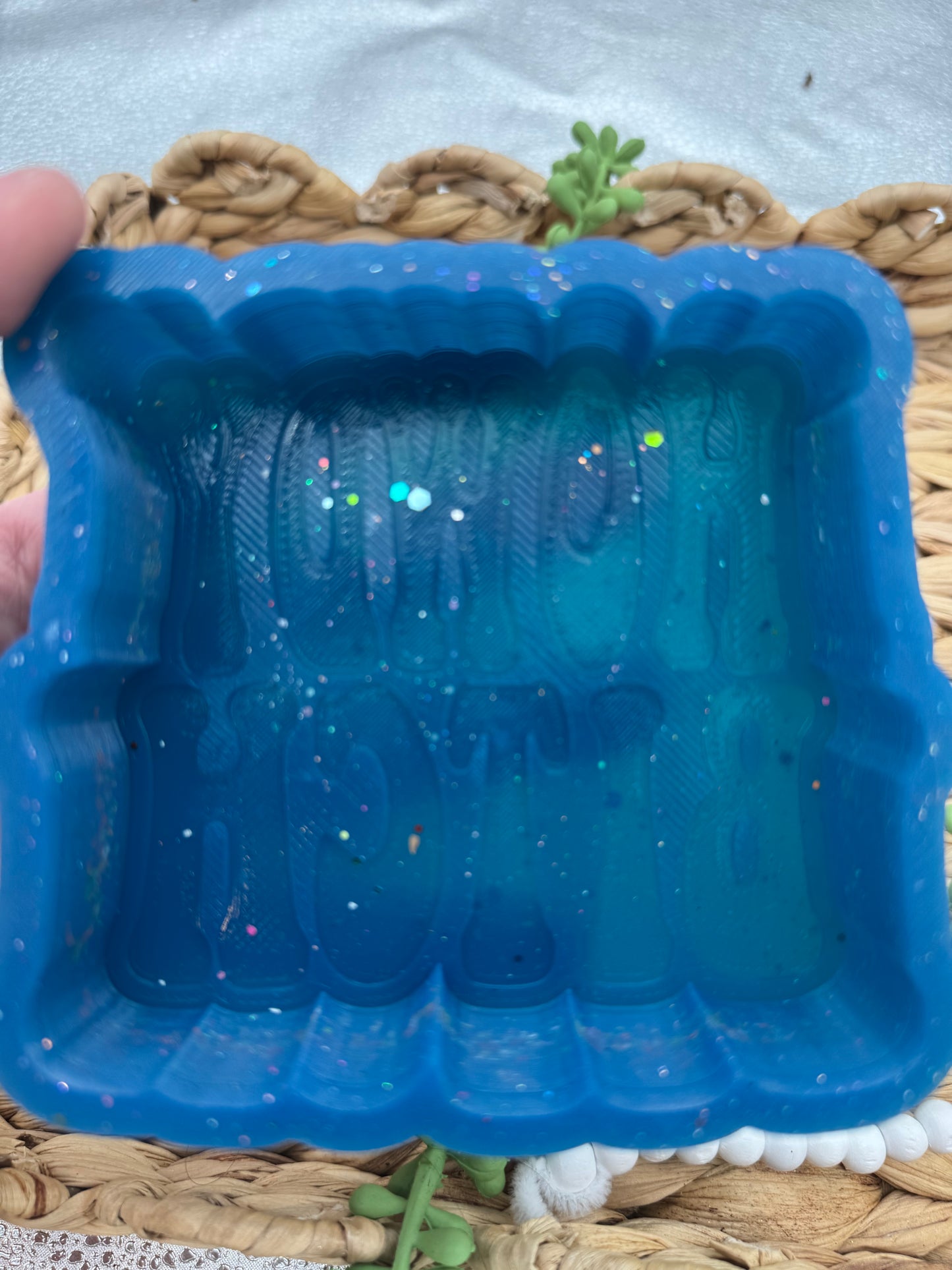 Howdy Bitch Mold - USED - Baysic Bits