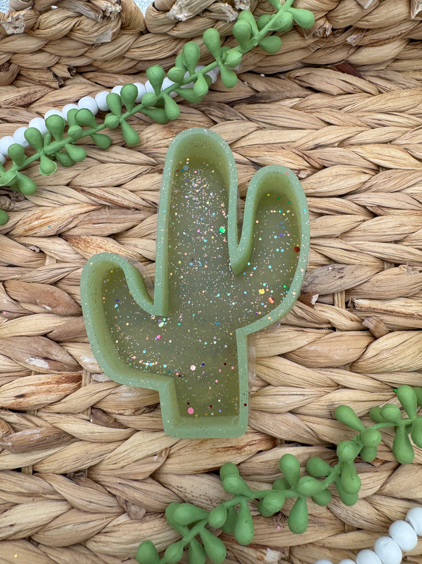 Cactus (Small size) - USED - Natollie