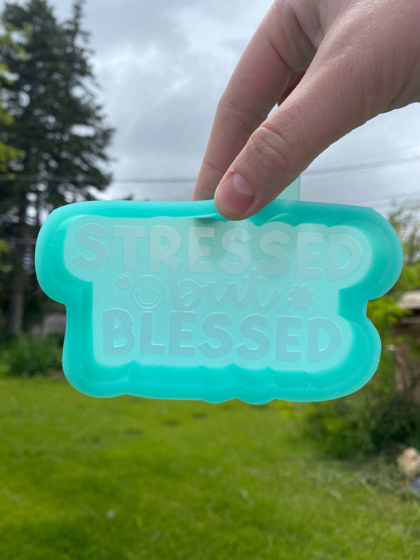 Stressed but Blessed Mold, religious freshie making supplies, popular freshie molds, best selling freshies, god is good freshie mold,