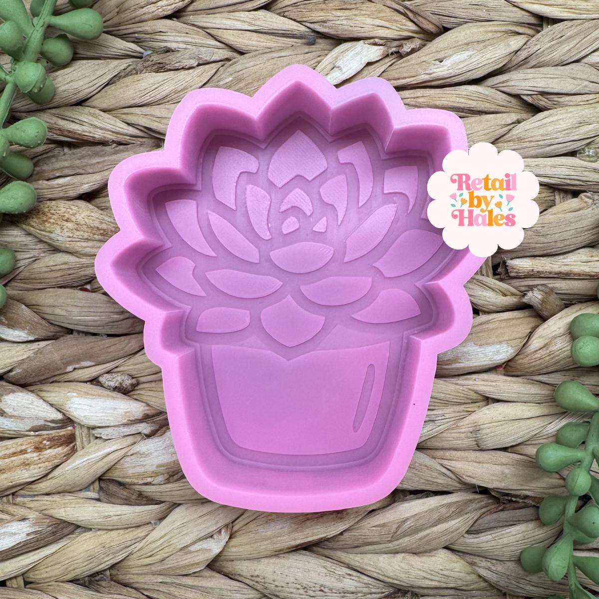 Succulent Freshie Mold, freshie making supplies, plant freshie molds, desert silicone mold, succulent freshie design, high quality molds