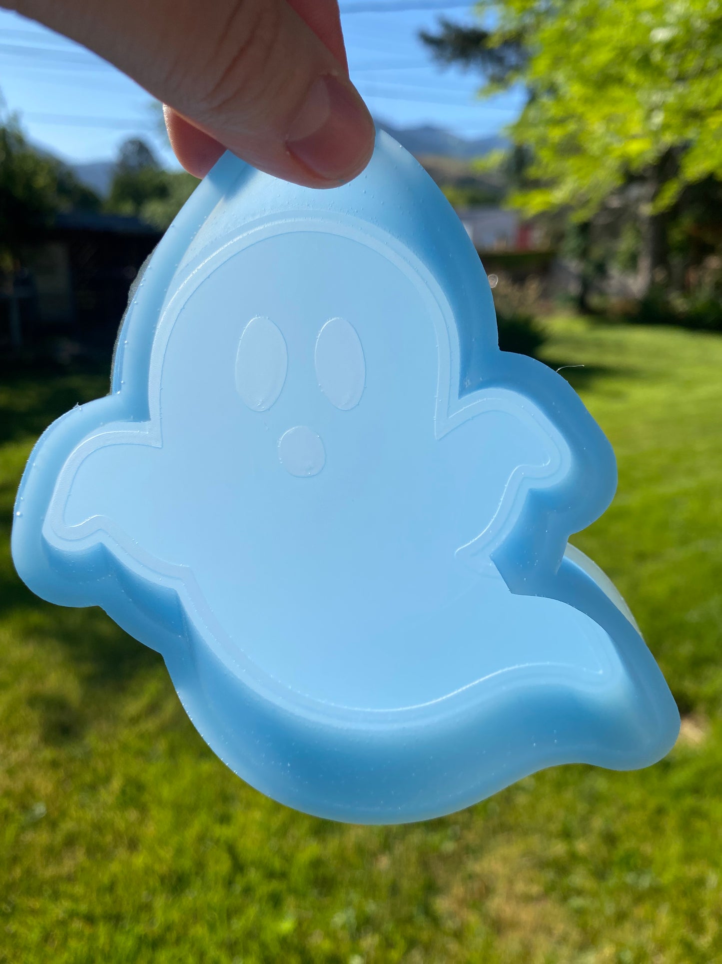 Ghost Mold