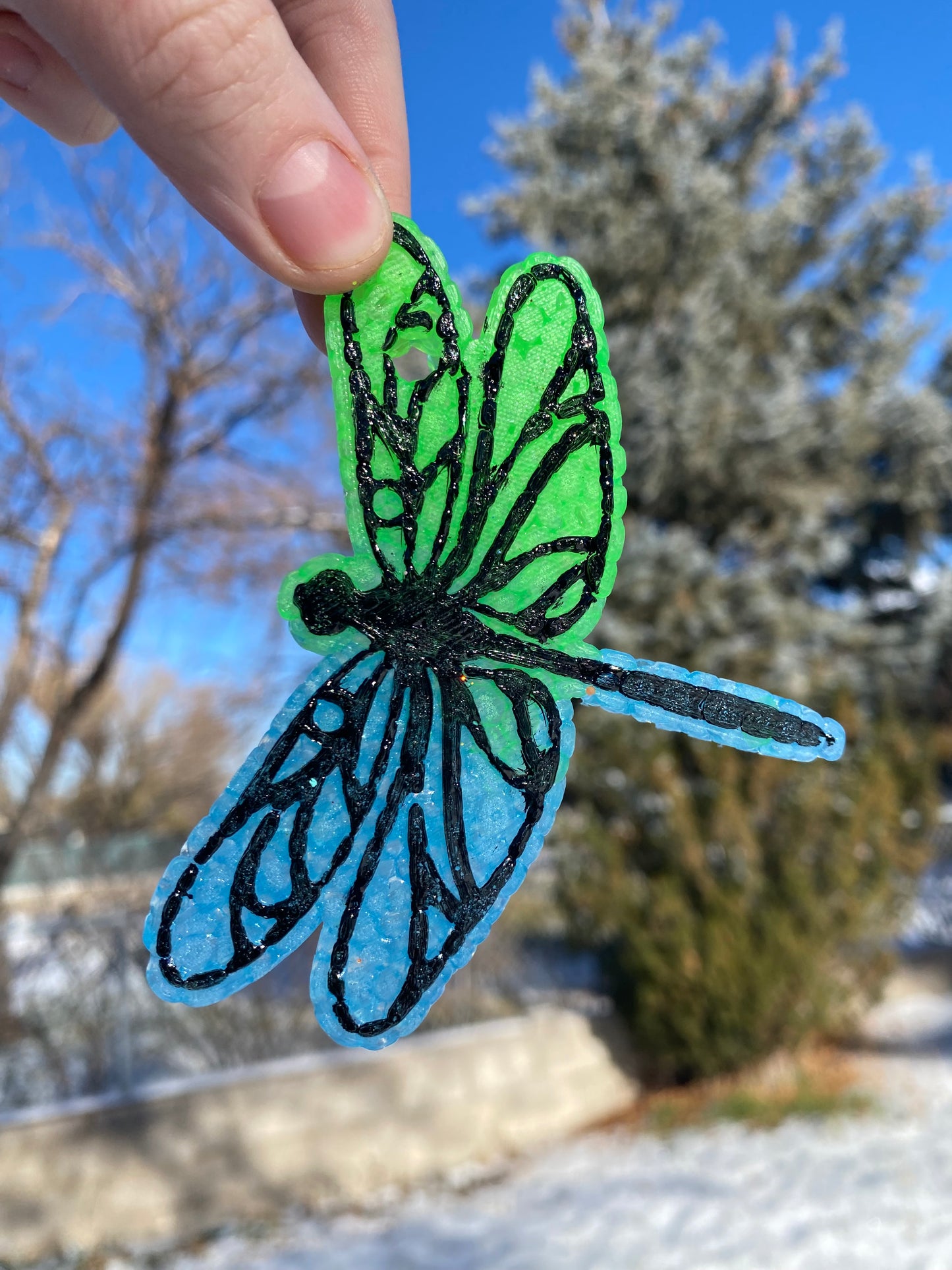 Dragonfly Freshie