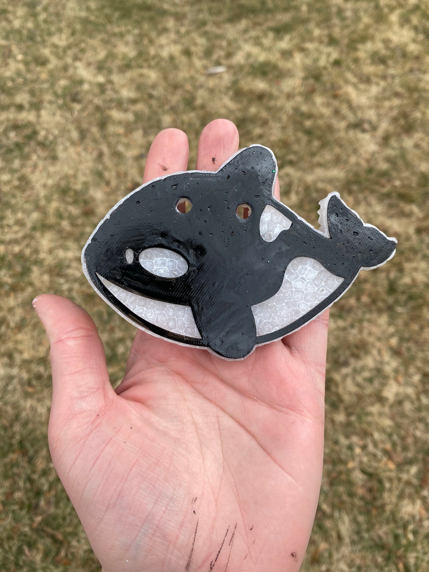 Black Orca Killer Whale Freshie