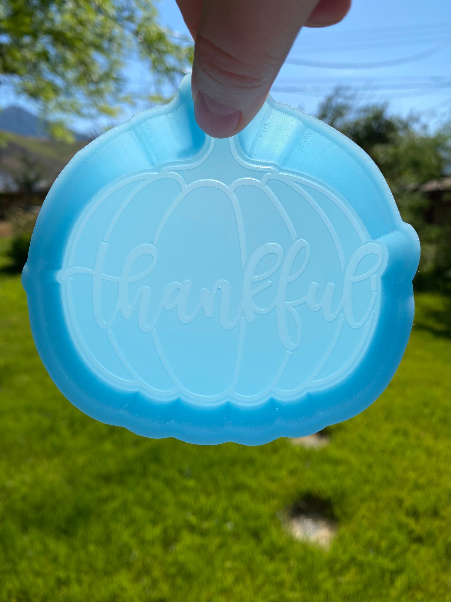 Thankful Pumpkin Mold