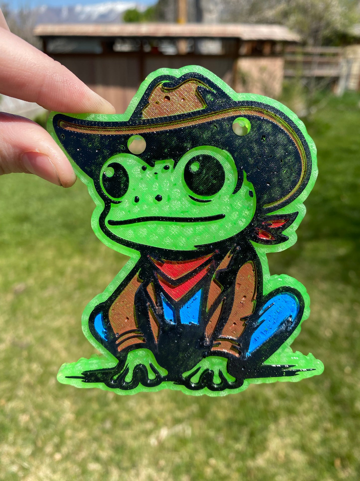 Cowboy Frog Mold