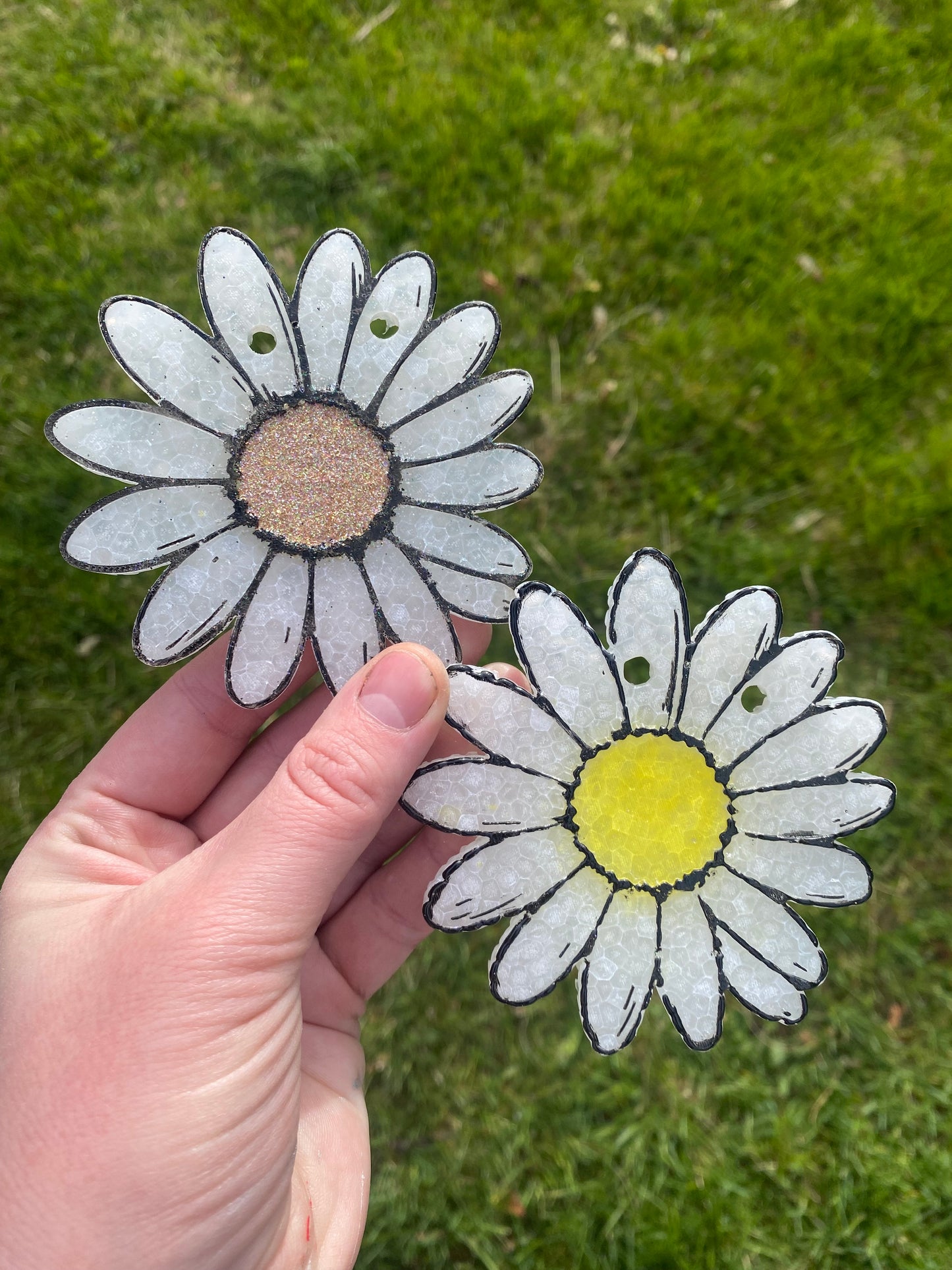 Daisy Mold