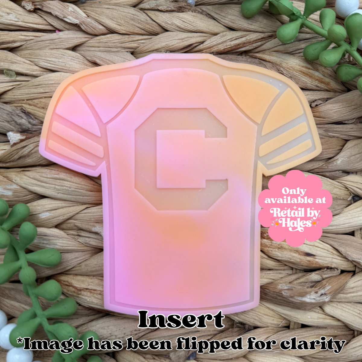 South Carolina Gamecocks Jersey Insert Freshie Mold