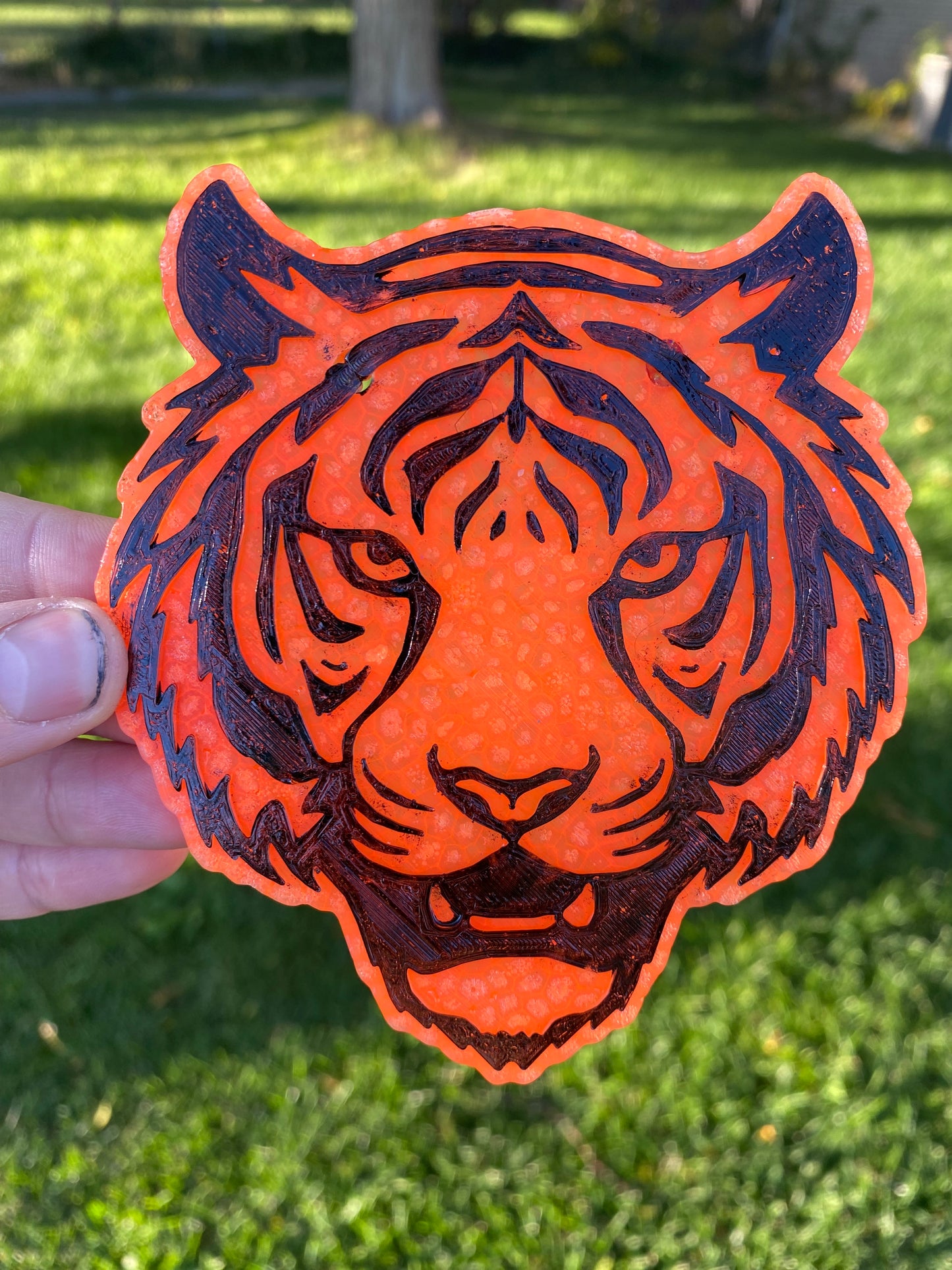 Tiger Freshie