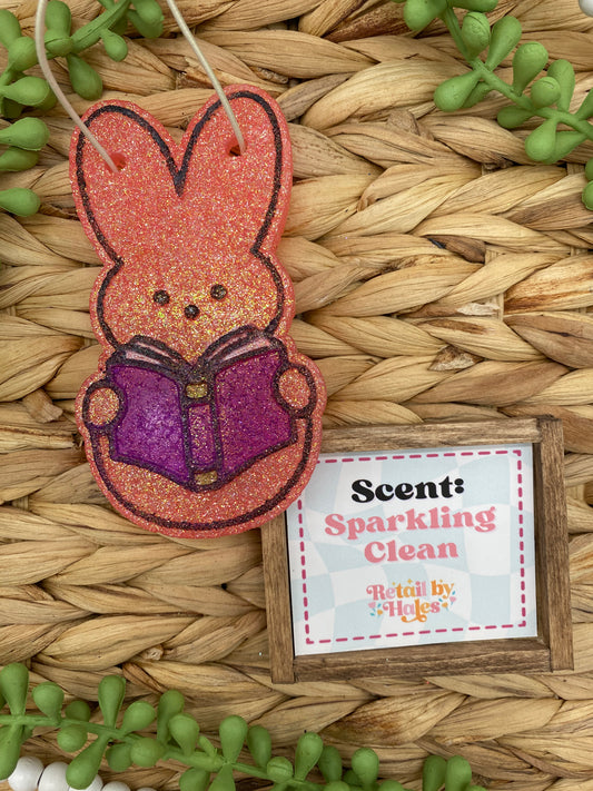 42- Reading Easter Bunny - Sparkling Clean