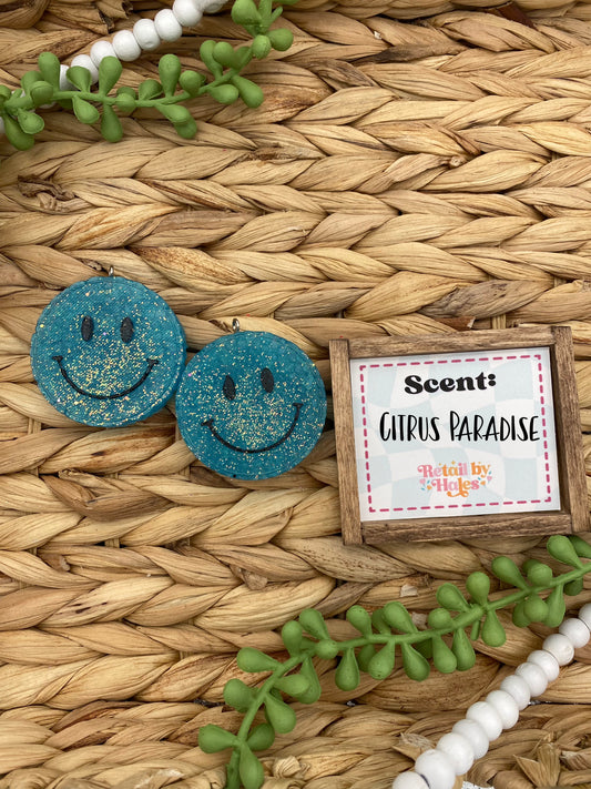 139- Smile Vent Clips-  Citrus Paradise -