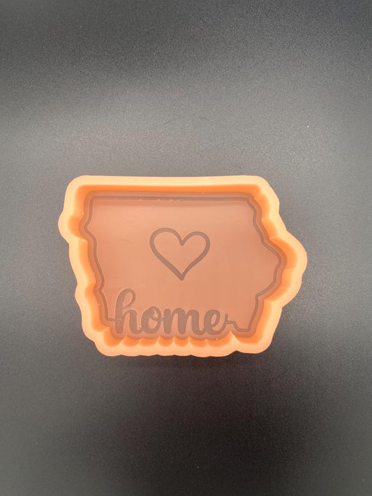 Iowa Home Mold