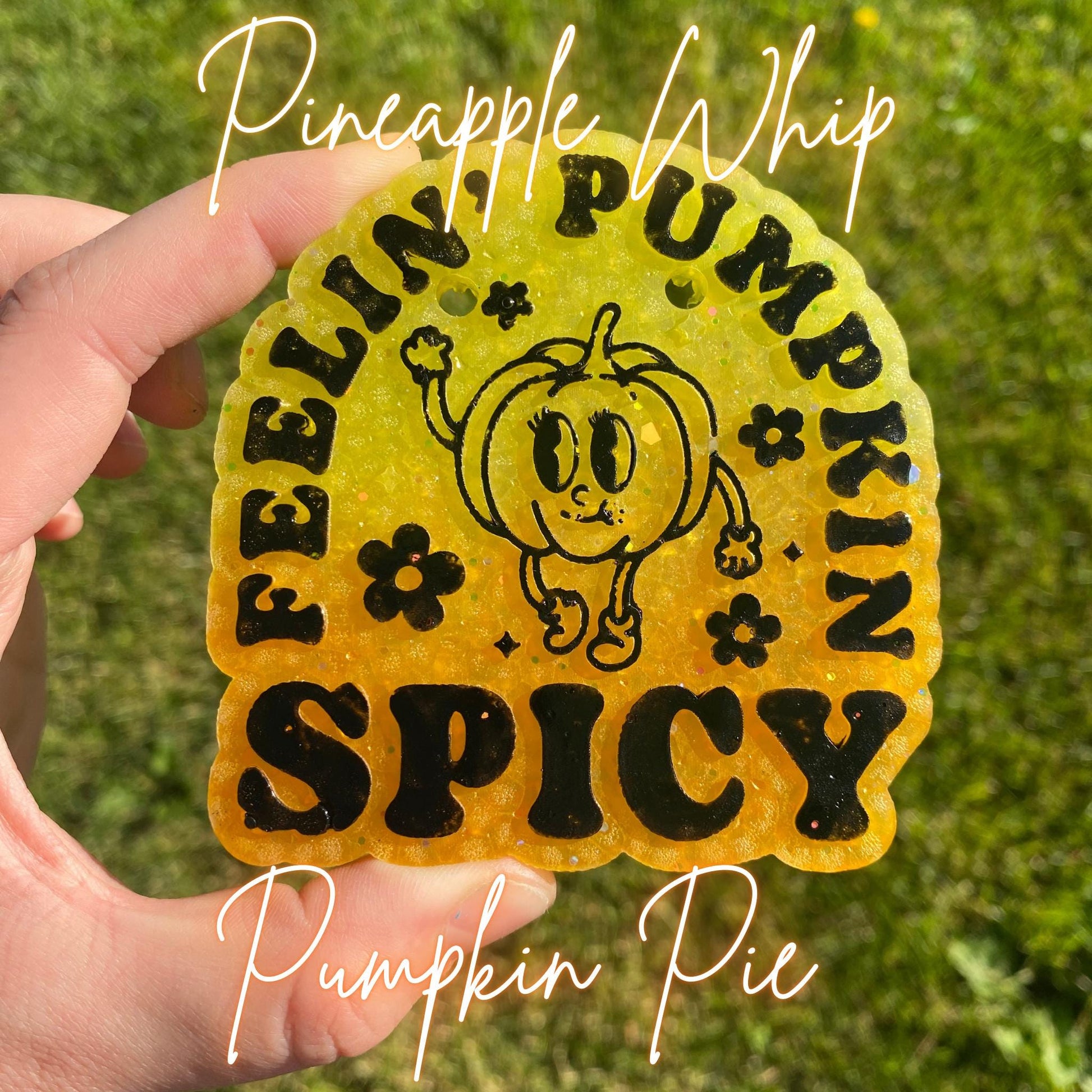 Pumpkin Pie Mica