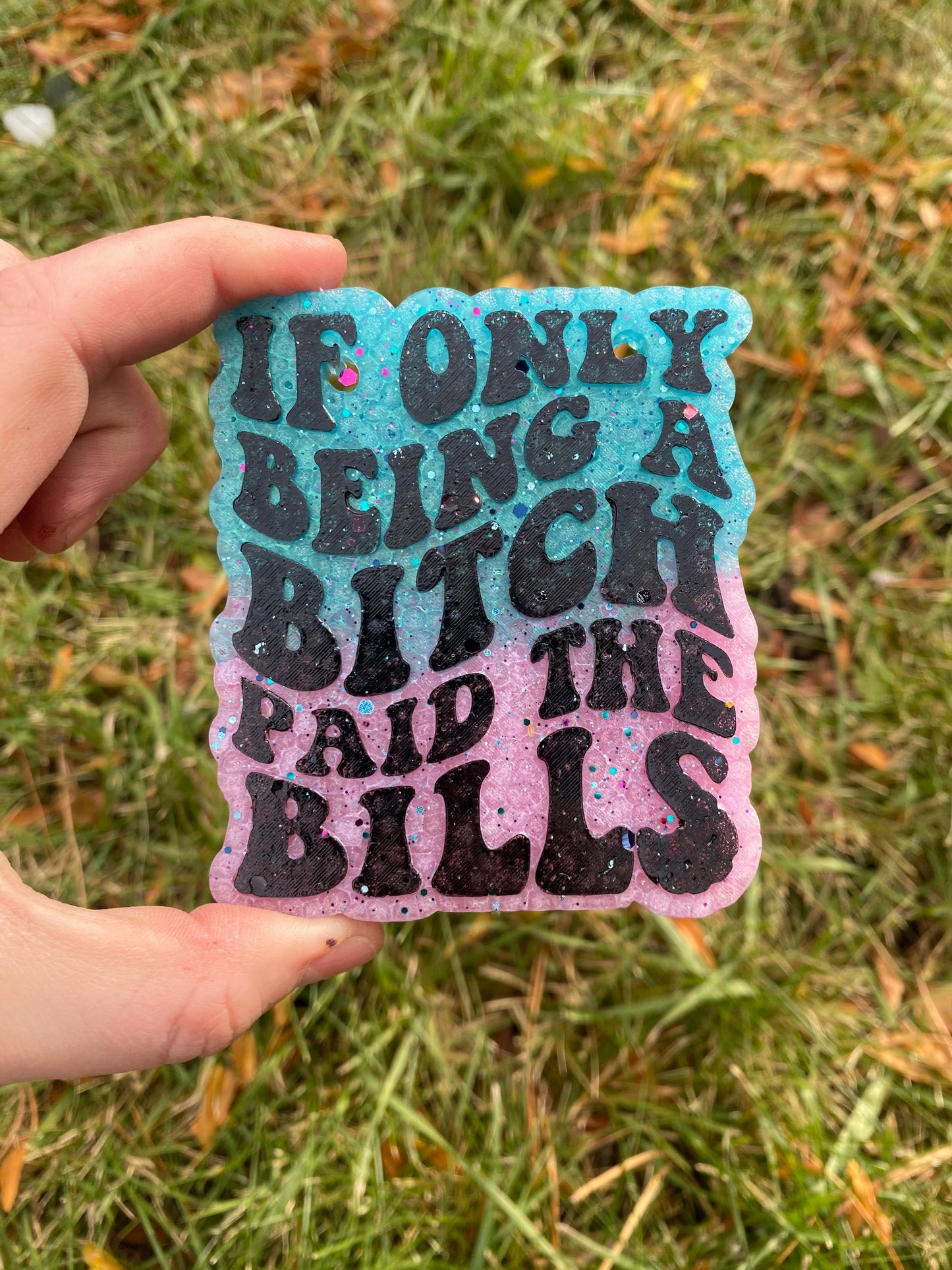 If Only Being A Bitch Paid The Bills Freshie Mold, Funny Freshie Molds, Snarky Silicone Molds, Retro Font Freshie Mold, Adult Humor Freshie