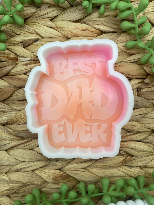 Best Dad Ever Freshie Mold, fathers day freshie mold, freshie making supplies, husband freshie ideas, dad freshie mold, car dad freshie mold