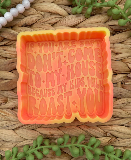 If You're Soft Don't Come to My House My Kids will Roast You Freshie Mold, Snarky Molds, Funny Freshie Mold, Mom Freshie Molds,