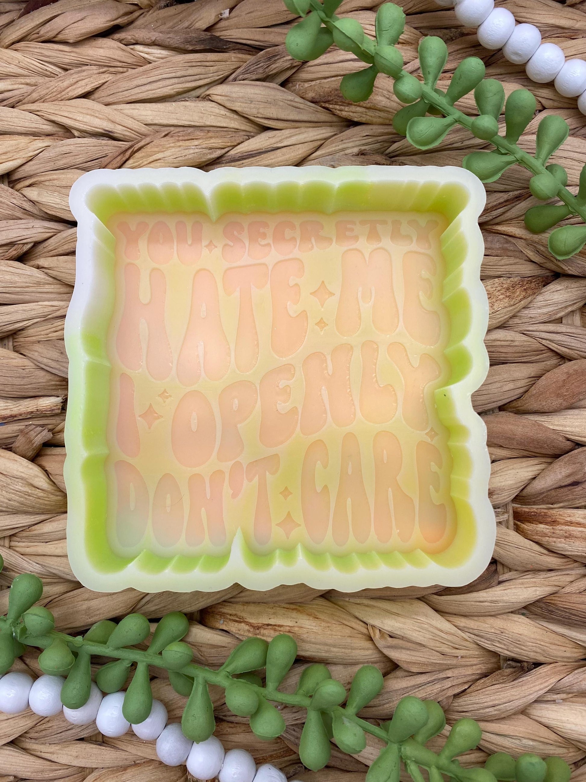 You Secretly Hate Me I Openly Don't Care Freshie Mold, Snarky Molds, Funny Freshie Mold, sarcastic freshie mold, adult humor Freshie Mold