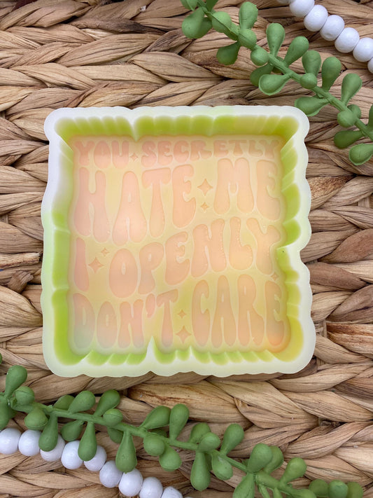 You Secretly Hate Me I Openly Don't Care Freshie Mold, Snarky Molds, Funny Freshie Mold, sarcastic freshie mold, adult humor Freshie Mold