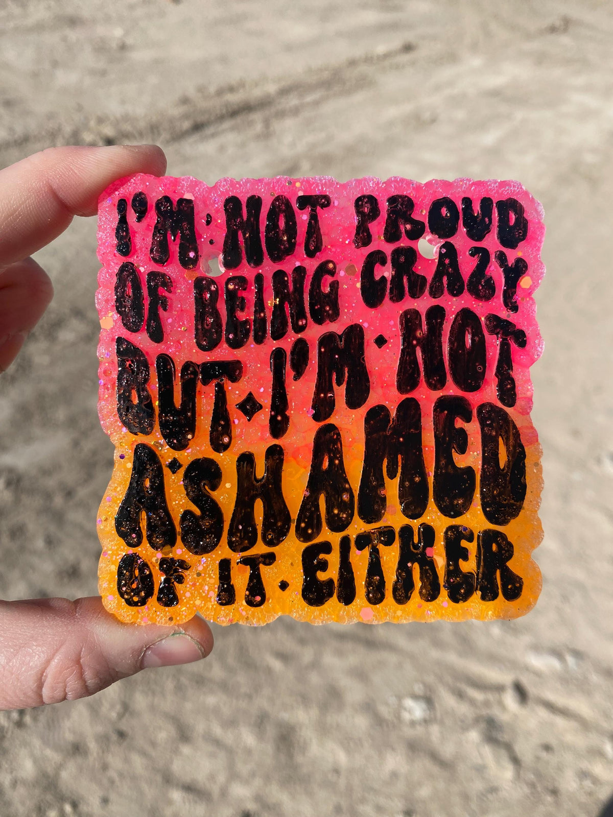 I'm Not Proud of Being Crazy Freshie Mold, Snarky Molds, Funny Freshie Mold, sarcastic freshie mold, adult humor Freshie Mold