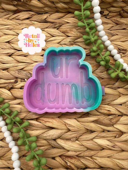 Ur Dumb Mold, you're dumb freshie, funny freshie mold, dad freshie mold, freshie mold for brother, freshie mold for sister, gag gift freshie