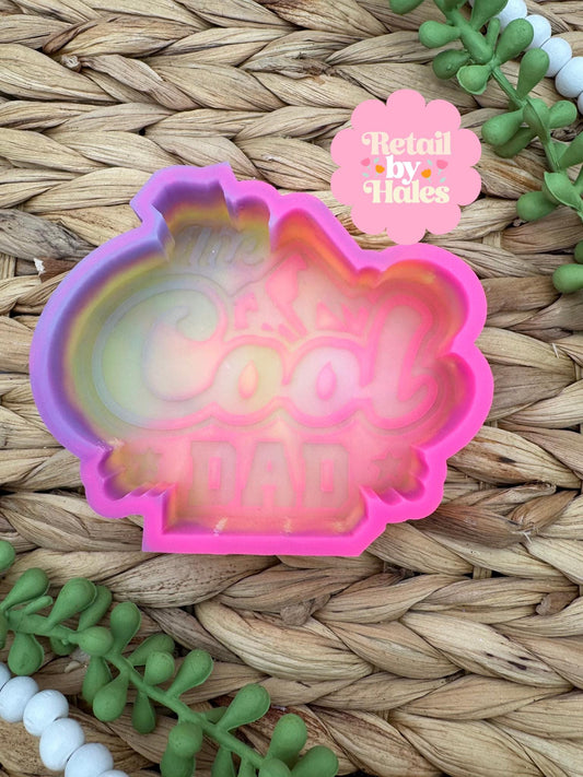Cool Dad Freshie Mold, fathers day freshie mold, freshie making supplies, husband freshie ideas, dad freshie mold, dad silicone, Beer Dad