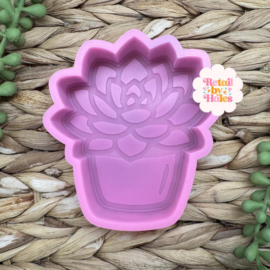 Succulent Freshie Mold, freshie making supplies, plant freshie molds, desert silicone mold, succulent freshie design, high quality molds